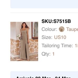 Stacees Taupe Chiffon Maxi Dress